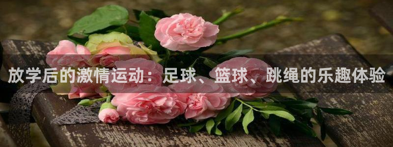 放学后的激情运动：足球、篮球、跳绳的乐趣体验