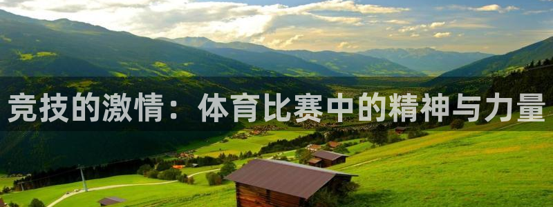竞技的激情：体育比赛中的精神与力量