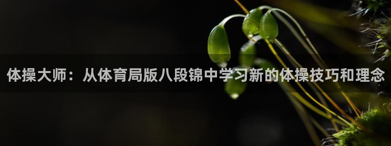 体操大师：从体育局版八段锦中学习新的体操技巧和理念