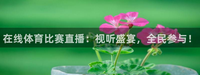 在线体育比赛直播：视听盛宴，全民参与！