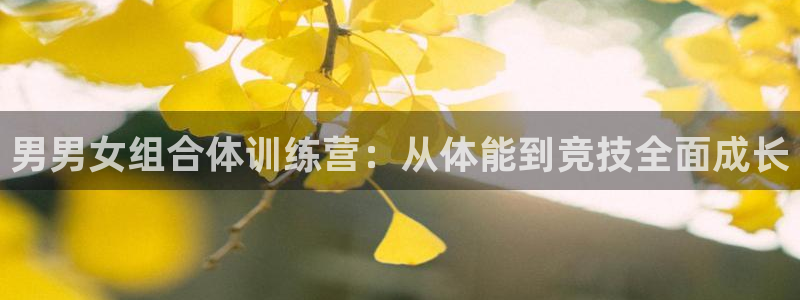 男男女组合体训练营：从体能到竞技全面成长