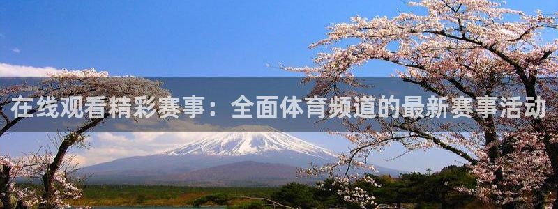 在线观看精彩赛事：全面体育频道的最新赛事活动
