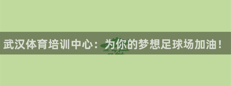 武汉体育培训中心：为你的梦想足球场加油！