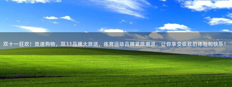 双十一狂欢！竞速购物，双11品牌大放送，体育运动品牌紧跟潮流，让你享受极致的体验和快乐！
