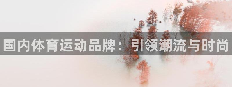 国内体育运动品牌：引领潮流与时尚