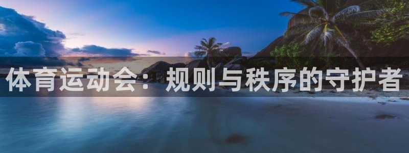 体育运动会：规则与秩序的守护者