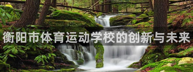 衡阳市体育运动学校的创新与未来