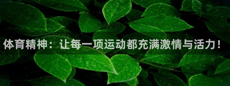 体育精神：让每一项运动都充满激情与活力！