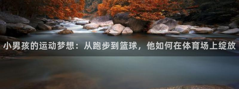 小男孩的运动梦想：从跑步到篮球，他如何在体育场上绽放