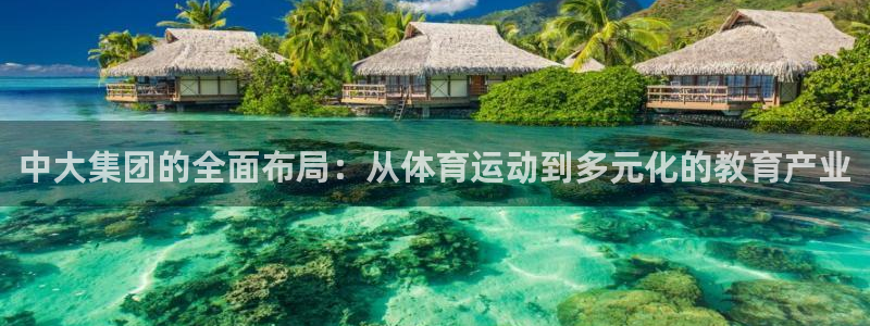 中大集团的全面布局：从体育运动到多元化的教育产业