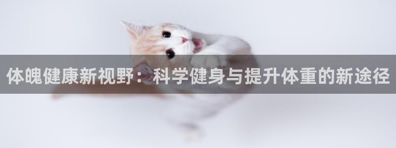 体魄健康新视野：科学健身与提升体重的新途径