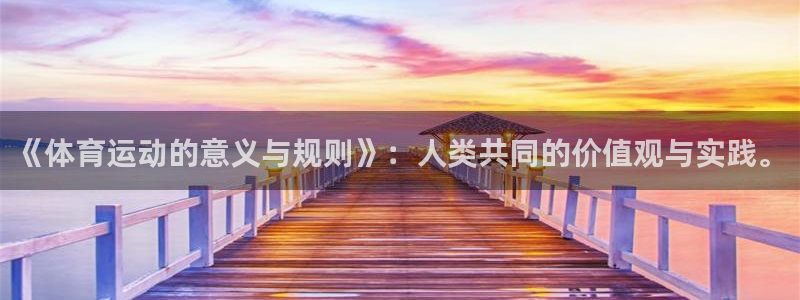 《体育运动的意义与规则》：人类共同的价值观与实践。