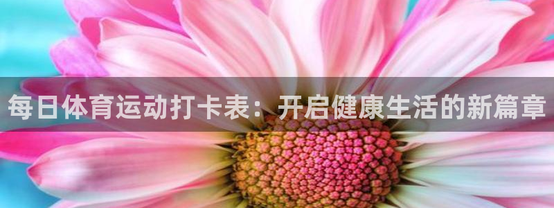 每日体育运动打卡表：开启健康生活的新篇章