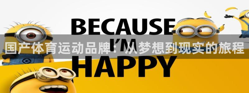 国产体育运动品牌：从梦想到现实的旅程