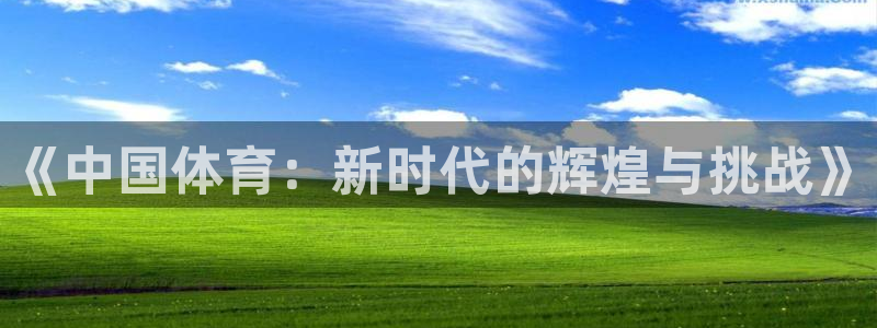 《中国体育：新时代的辉煌与挑战》