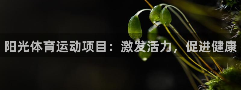 阳光体育运动项目：激发活力，促进健康