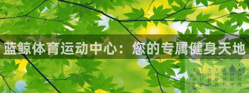 蓝鲸体育运动中心：您的专属健身天地