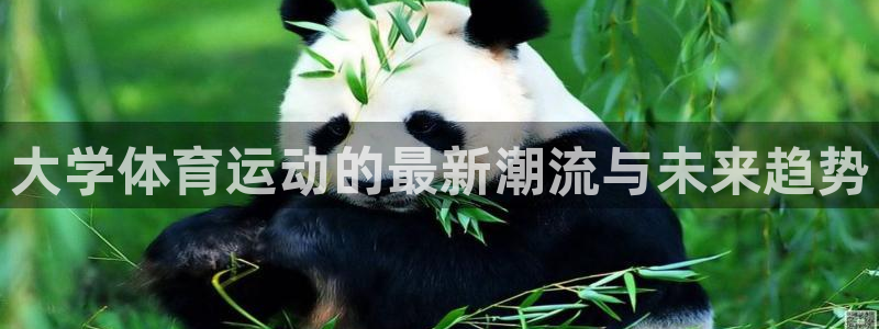 大学体育运动的最新潮流与未来趋势