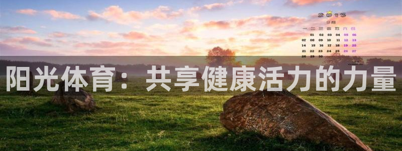 阳光体育：共享健康活力的力量