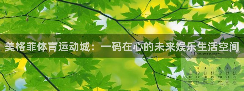 美格菲体育运动城：一码在心的未来娱乐生活空间