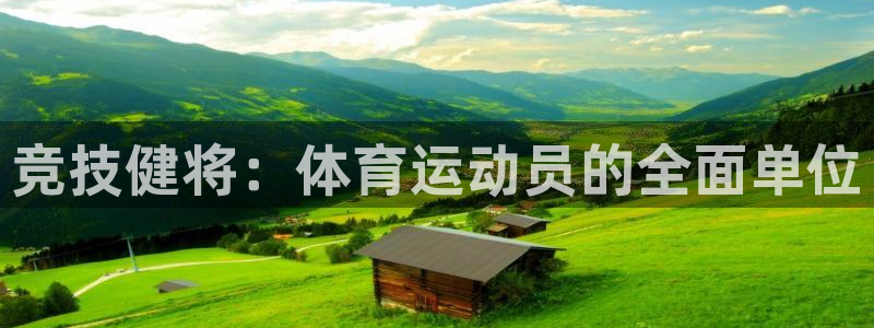 竞技健将：体育运动员的全面单位