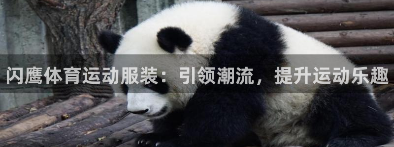 闪鹰体育运动服装：引领潮流，提升运动乐趣