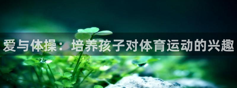 爱与体操：培养孩子对体育运动的兴趣