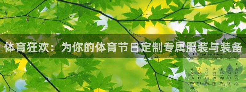 体育狂欢：为你的体育节日定制专属服装与装备