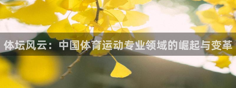 体坛风云：中国体育运动专业领域的崛起与变革