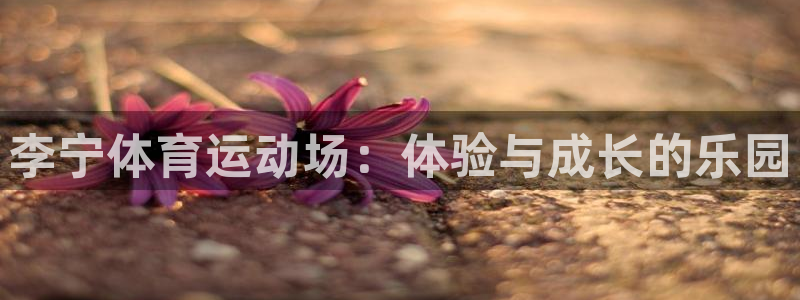 李宁体育运动场：体验与成长的乐园