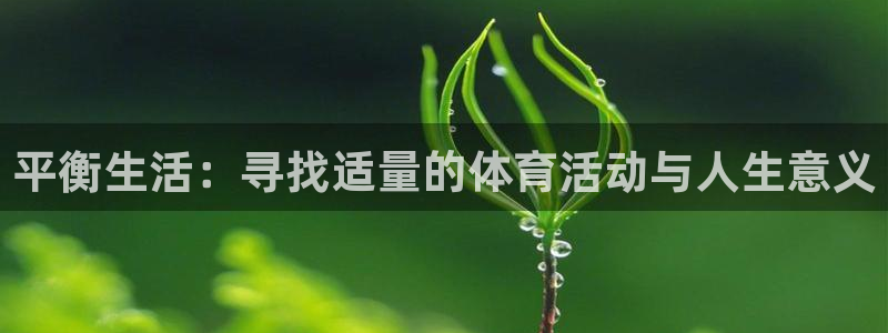 平衡生活：寻找适量的体育活动与人生意义