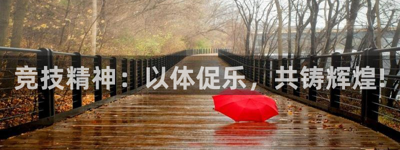 竞技精神：以体促乐，共铸辉煌!