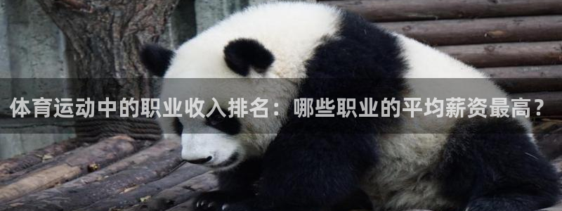 体育运动中的职业收入排名：哪些职业的平均薪资最高？