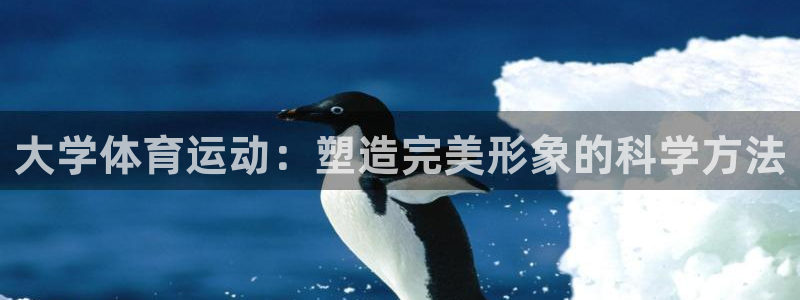 大学体育运动：塑造完美形象的科学方法