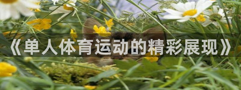 《单人体育运动的精彩展现》