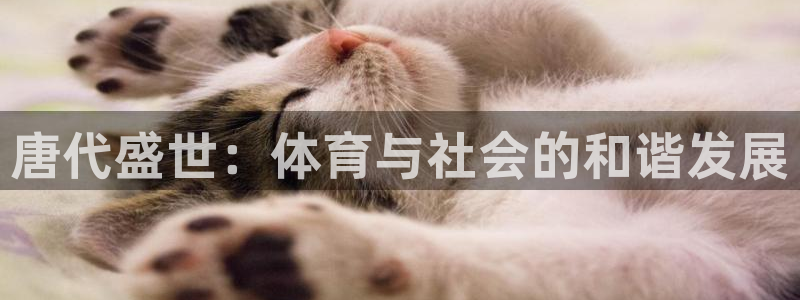 唐代盛世：体育与社会的和谐发展