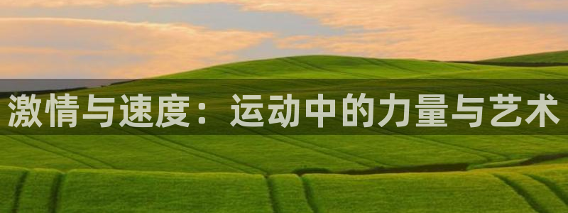 激情与速度：运动中的力量与艺术