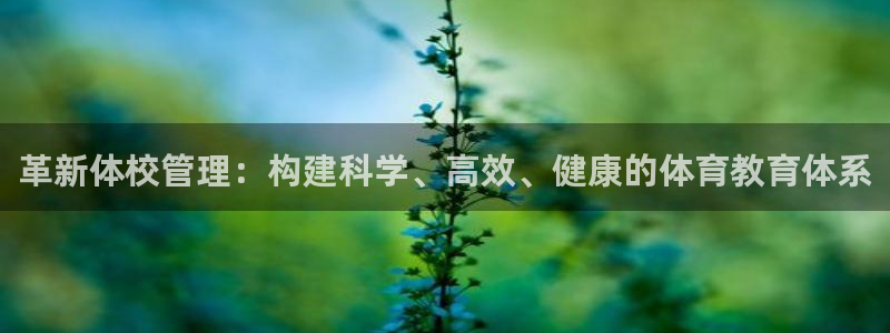 革新体校管理：构建科学、高效、健康的体育教育体系
